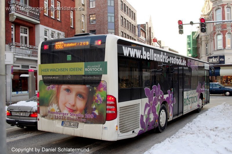 PI DL 483-24,dielinie,DS.jpg